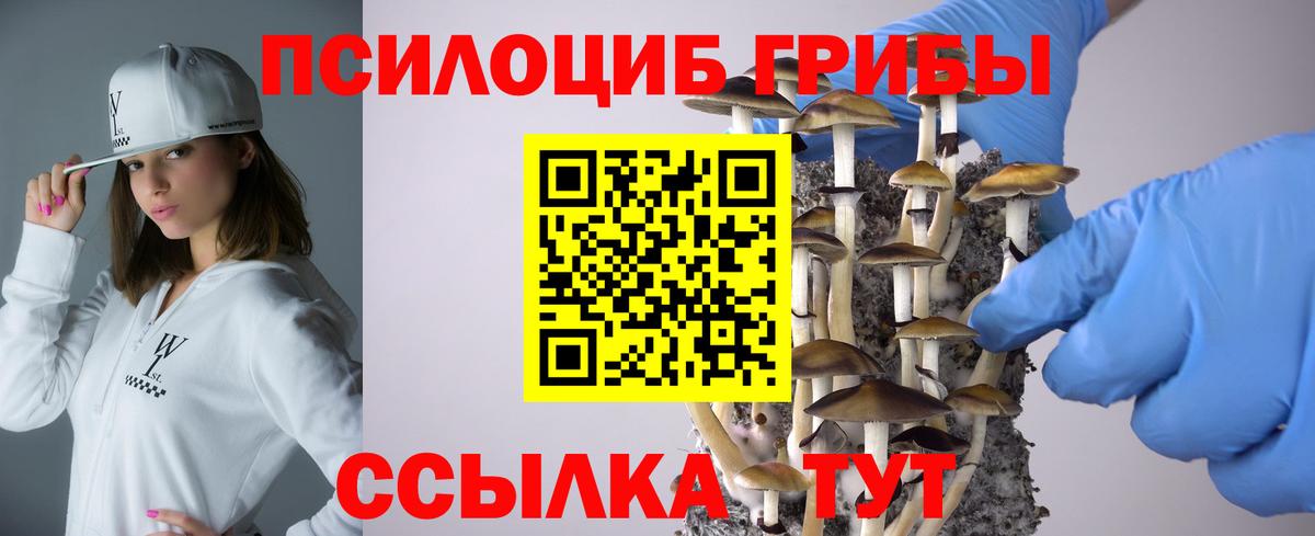 Галлюциногенные грибы ЛСД  Вход с VPN  Алапаевск 
